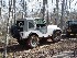 Nice CJ
